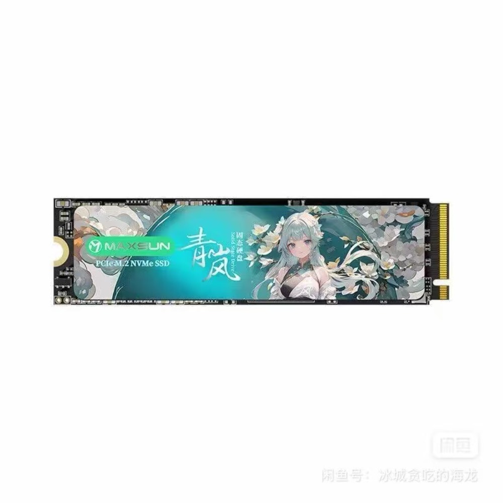 Minisun Qinglan NM300A, SSD da - M.2 Ssd recensione e prezzo