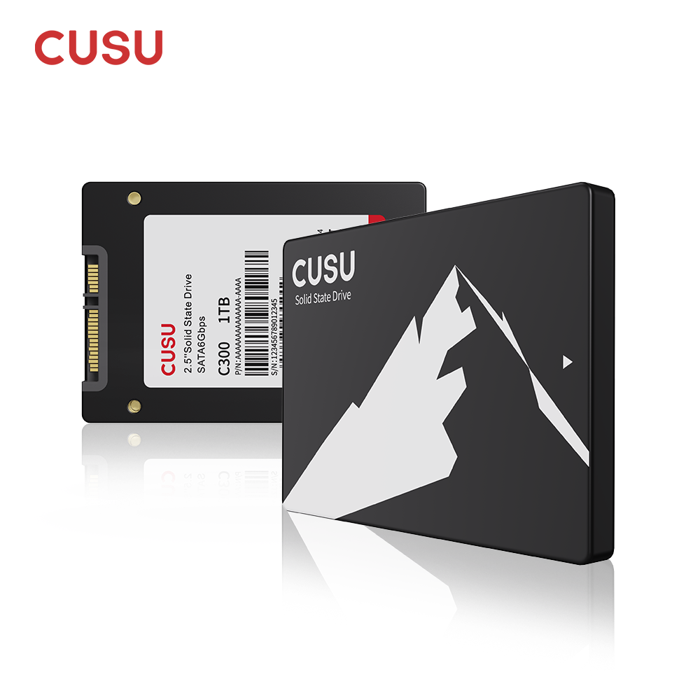 CUSU SSD 1TB 512GB 256GB 128GB - Ssd 500Gb recensione e prezzo