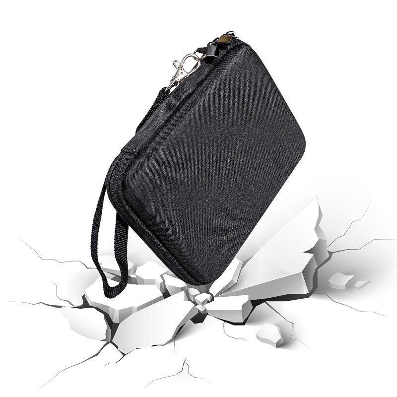 Custodia rigida da viaggio con - Samsung Ssd recensione e prezzo